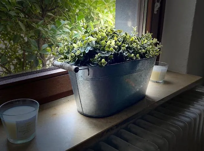 Séjour chez l'habitant Kleines In Siegburg-kaldauen Siegburg